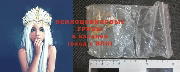 дмт Абаза