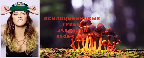 дмт Абаза