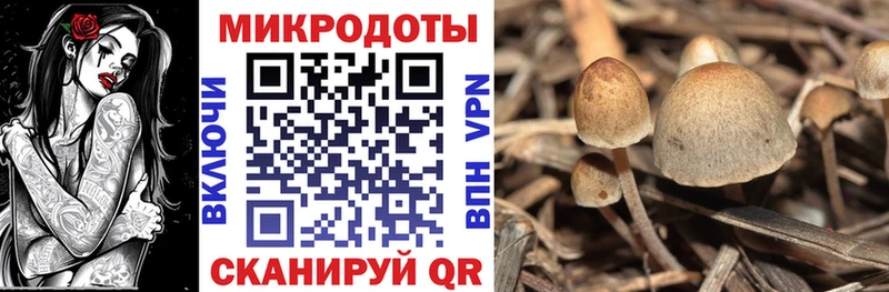 Галлюциногенные грибы Cubensis  продажа наркотиков  blacksprut ссылки  Чухлома 
